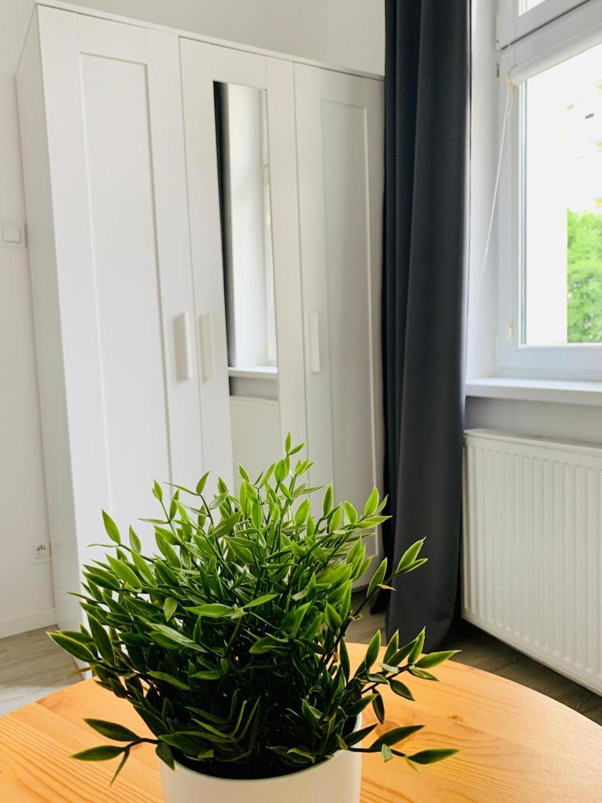 Apartament Fraszka U Kochanowskiego Ac Progres Stary Toruń Exteriér fotografie